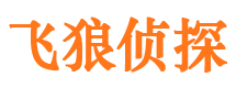 汤阴寻人公司